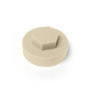 product Капачка PVC SW8 ф19 RAL 1015 thumb